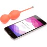 Тренажер Кегеля WOMANIZER We-Vibe Bloom виброшарики вагинальные + Подарок SNBLSGA